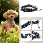 Small Dog Collar with Bell - Image 2