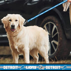 NFL Detroit Lions Dog & Cat Collar - Image 4