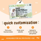 PawFurEver Personalized Dog Driver License ID Tag - Image 4