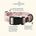 Lucy & Co. Awesomely Autumn Dog Collar - Image 2