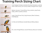 Parrot Training Perch Stand - Image 4