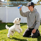 2 Pack Dog Toys for Aggressive Chewers, Tough Puppy Chew Toys Teething Bone for - Image 4