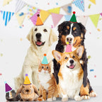 Hxezoc 10 Pcs Mini Birthday Party Hats Multicolor Lovely Crimping Cone Hats - Image 7