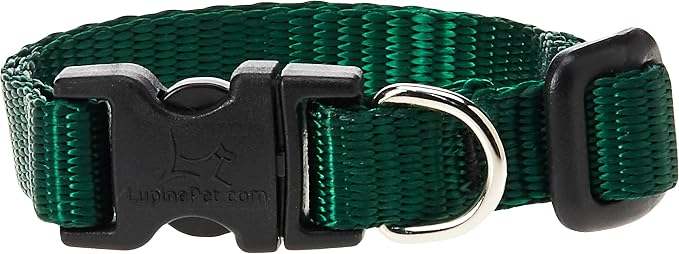 LupinePet Basics 1/2" Green 8-12" Adjustable Collar by LupinePet