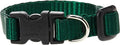LupinePet Basics 1/2" Green 8-12" Adjustable Collar by LupinePet