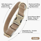 Plutus Pet Genuine Leather Dog Collar – Adjustable Pet Collar - Image 2