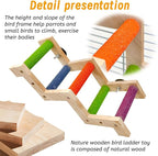 Hamiledyi Nature Wooden Bird Ladder Pet Parrots Climb Bridge Exercise Stands - Image 6