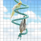 Dnoifne 78.7 Inches Bird Spiral Rope Perch, - Image 2