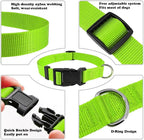 Dog Collar Green Basic Dog Collars - Image 3