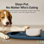 DownyPaws Dog Food Mats for Floors Waterproof, BPA Free Silicone Dog Bowl Mat - Image 7