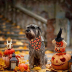 PTDECOR Halloween Dog Bandana, Skeleton Pumpkin Reversible Holiday Dog Scarf - Image 3