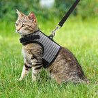 PUPTECK Soft Mesh Cat Vest Harness and Leash Set Puppy Padded Pet Harnesses - Image 5