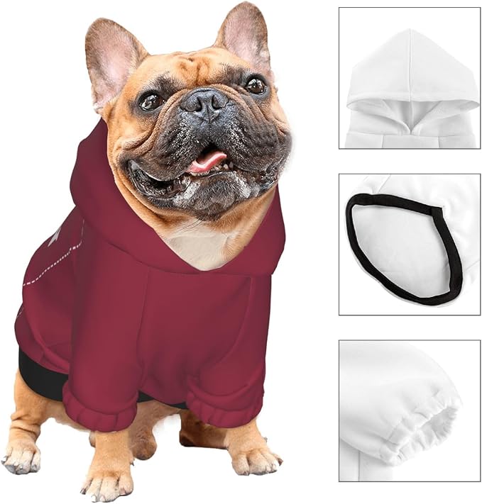 Personalized Dog Hoodie, Custom Dog Costumes - Image 3
