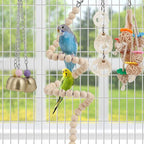 For Parakeet, Love Birds, Parrots - Image 4