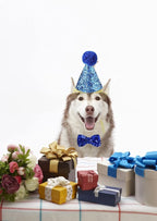 4 Pcs Cat Birthday Hat Bowtie Small Dog Hat Headband Topper Bowtie Adjustable - Image 5