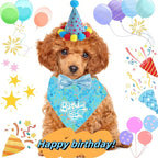 Happy Birthday Dog Party Supplies Kit - Image 5