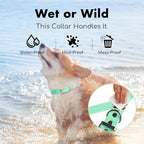 4.2FT Dog Collar and Leash Set, PVC Waterproof Adjustable Odor Proof Pet - Image 5