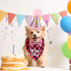 Weewooday Dog Birthday Party Supplies Birthday Boy Girl Cake Bandana Triangle - Image 6