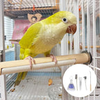 5Pcs Bird Cage Cleaner Set, Stainless Steel Poop Remover & Scraper Tool - Image 6
