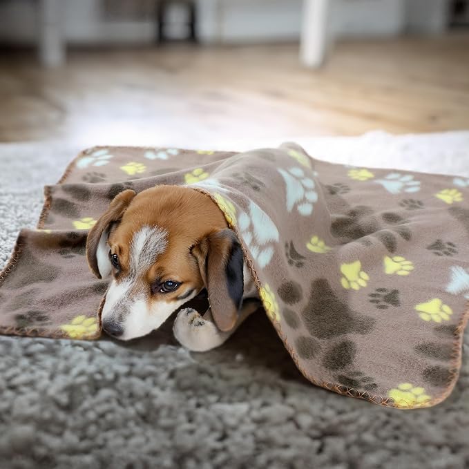 Tatuo 10 Pieces Pet Blankets - Image 6