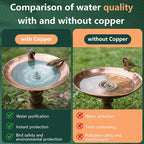 2 Pcs Bird Bath Copper Disk, 2mm Thick Reinforced Copper Cleaning Disk - Image 2