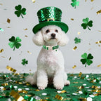 St. Patrick's Day Dog Collar for Small Dogs - Image 6