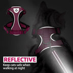 PUPTECK Cat Harness and Leash Set Escape Proof Reflective Cat Walking Harness - Image 6