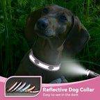 PETCARE Reflective Dog Collar - Image 4