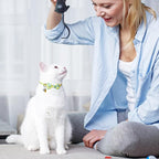 SCENEREAL Breakaway Cat Collar - Image 3