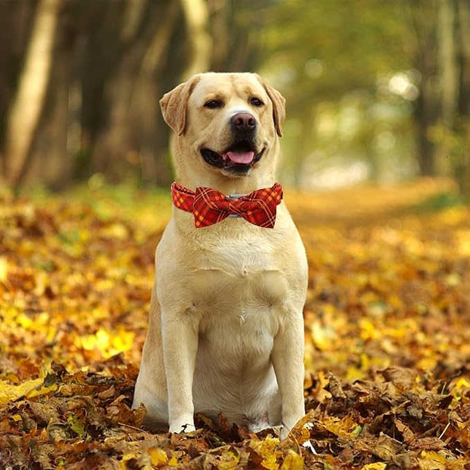Fall Dog Collar, Pet Collar Bow Plaid Pet Collars Girl Boy Holiday Pet Collars - Image 5