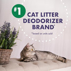 Arm & Hammer Forever Fresh Cat Litter Deodorizer, Wild Lavender, Essential Oils - Image 6