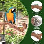 4-Piece Bird Perch Set with Rotating Ball Stand - Image 3