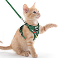 rabbitgoo Cat Harness and Leash by rabbitgoo