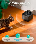oneisall Wireless Cat Water Fountain: 74oz/2.2L Cordless Pet Water Fountains - Image 6