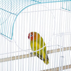 Prevue Pet Products South Beach Flat Top Bird Cage - Image 8