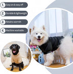 Personalized Dog Hoodie with Name/Text, Custom Embroidered or Printed Dog - Image 9