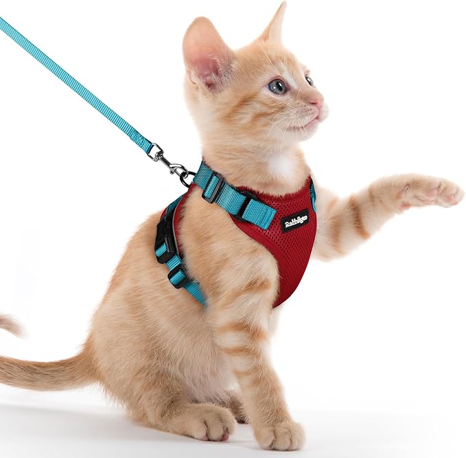 rabbitgoo Cat Harness and Leash by rabbitgoo