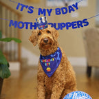 Dog Birthday Party Supplies - Image 9