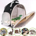 Bearded Dragon Travel Backpack Carrier - Image 6