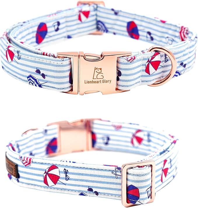 Lionheart glory Dog Collar - Image 4