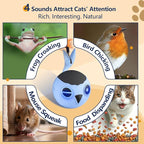 ORSDA Cat Toys, Interactive Cat Toy - Image 6