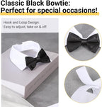Segarty Bow Tie Cat Collar for Neck Girth 8.8-10.5 in, Tux Puppies Dog Bowtie - Image 3