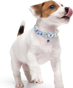 Faygarsle Blueberry Pattern Dog Collar - Image 6