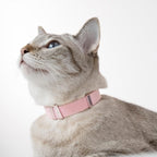 Safety Cat Collar - Image 6