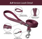 AIITLE No Pull Dog Harness and Leash Set, Christmas Step in Adjustable Dog - Image 6
