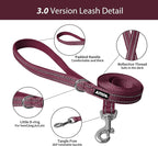 AIITLE Small Harness for Puppy - Image 5