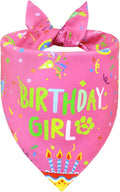 Dog Birthday Bandana Girl for Medium Large Dogs, Reversible 2 Patterns in 1 by WoffBow