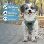 Best Pet Supplies Voyager Step-in Air Harness - Image 2