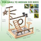 KATUMO Bird Playground - Image 5