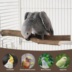 8 PCS Bird Perch Set, Natural Birch Wood Straight & Forked Perches - Image 8